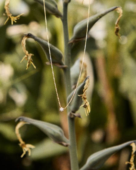 Mini Rosette Noir Or Rose et Diamants | LECARRE