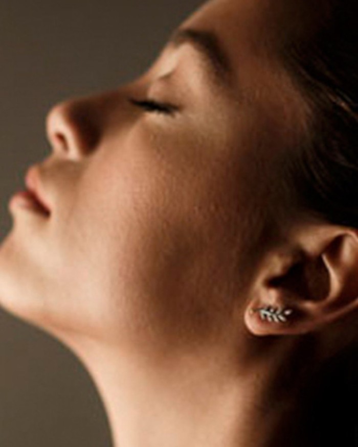 Boucles d'oreilles feuilles d'or et diamants | LECARRE