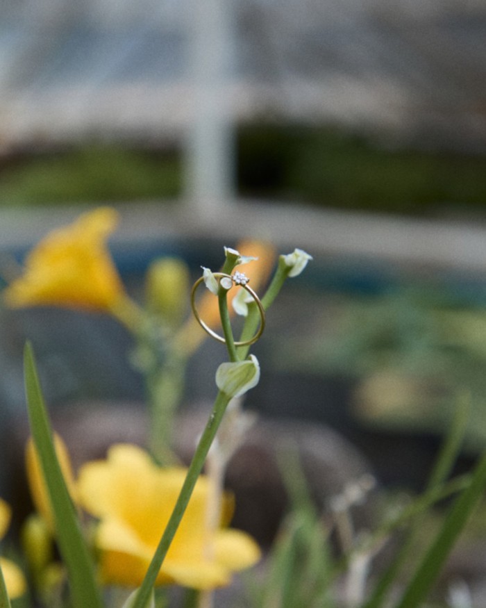 Guldring Mini Rosett Diamanter | LECARRE