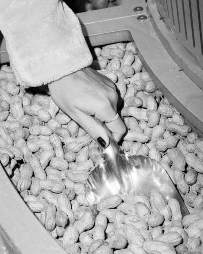 Diamantring i vitt guld | LECARRE