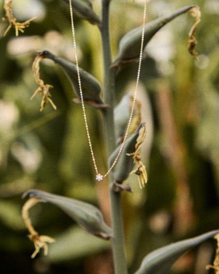 Mini rosett gull og diamanter | LECARRE